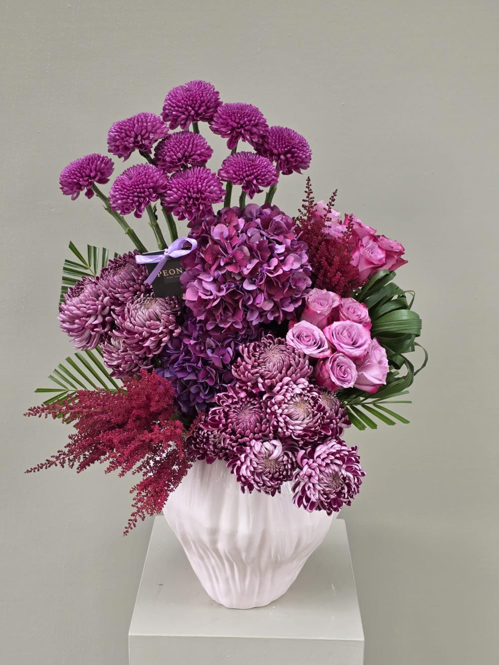Momoko Hydrangea